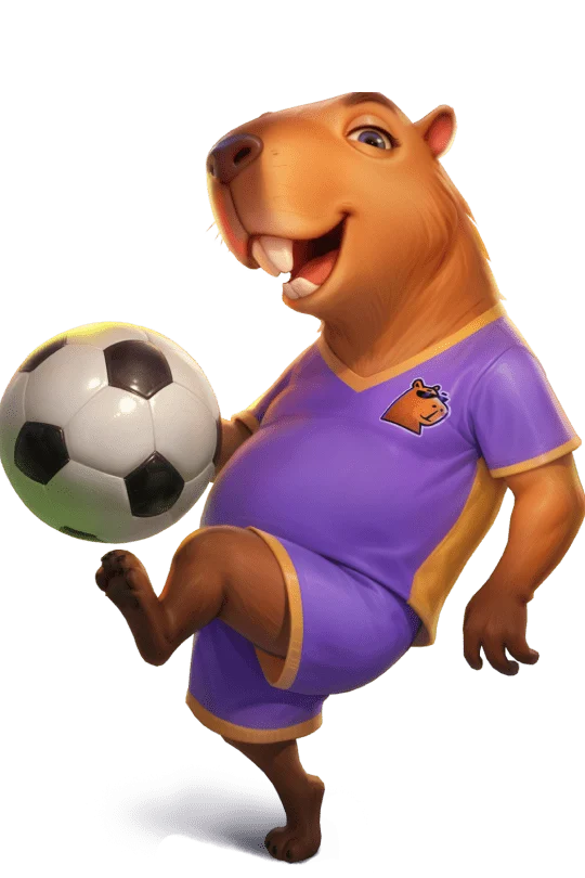 casinospinbara-footballmin